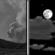 Wednesday Night: Patchy Smoke then Partly Cloudy